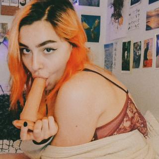 BJ Vids bundle by Princess Paisley