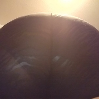 Ass for DAYS! photo gallery by Addicting Ally