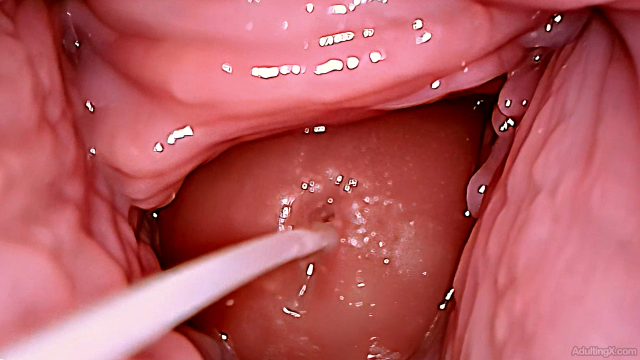 Creampie Me Over and Over video from Adulting