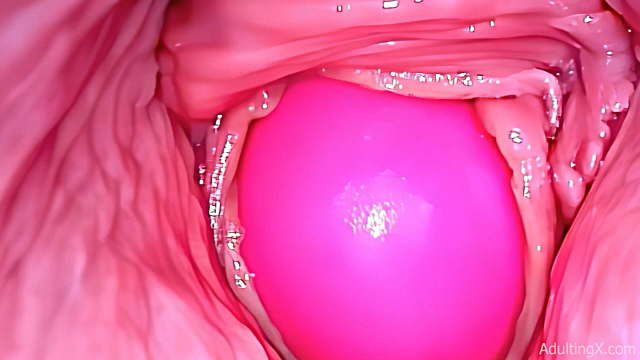 Inside a Camgirl - 720P Compressed video from Adulting