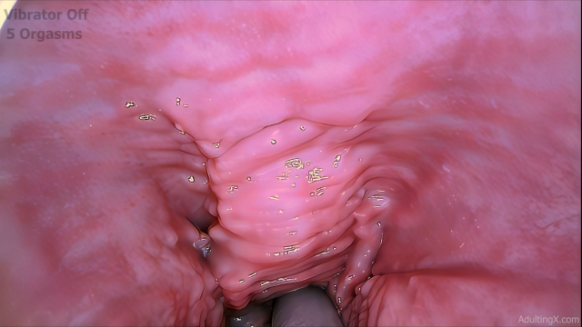 Pulsing Gspot 6 Orgasms video from Adulting