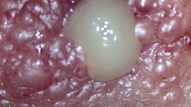 Titty Juice Expression Ultra Close-Up video from Adulting