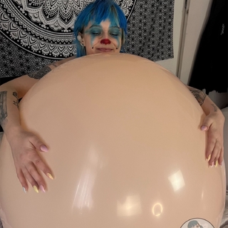 more clowns photo gallery by Alice Bean