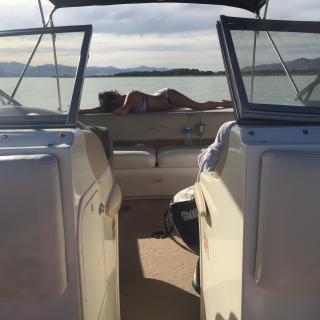 Amber Princess photo