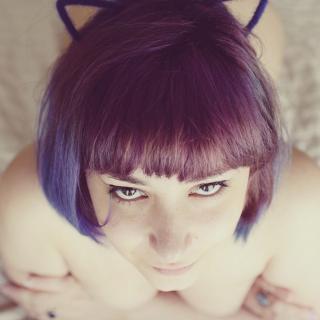 Ao Neko photo