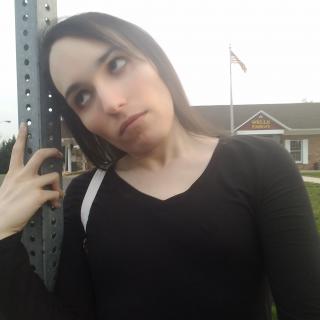 Ashley Lynn TS photo