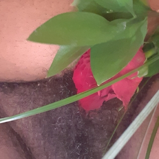 as pretty as a red rose photo gallery by Goddess Ebony