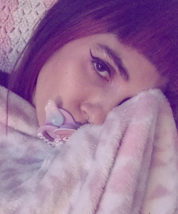 Kitten at APClips.com