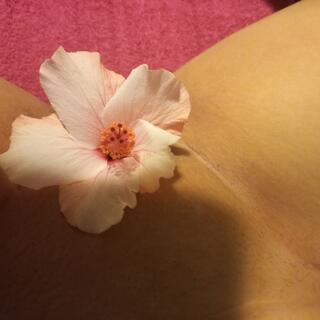 Beetle Bonnet Pussy photo