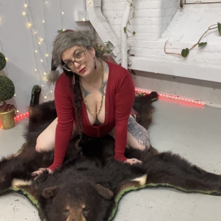 a Beary Merry Christmas photo gallery by Bella Vendetta