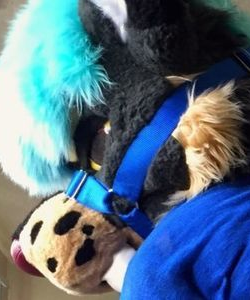 BigTittyTusky at APClips.com