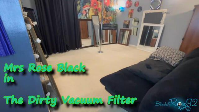 The Dirty Vacuum Filter 2 video from BlackxRose92