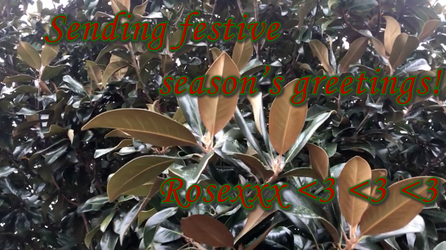 Ugly Christmas Sweater Expansion video from BlackxRose92