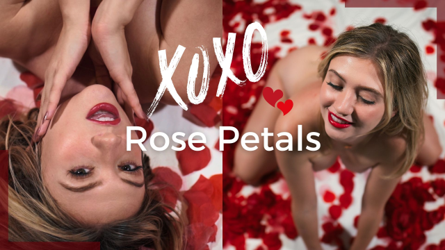 Rose Petals video from Blaze Fyre