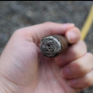 your dick. photo gallery by Bolt Danvers