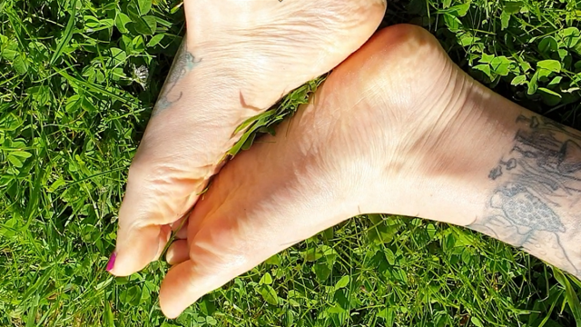 Compilation of Bare Toes Teasing You! Close Ups of Natural Nails, Bound Big Toes, & My Purple Pedicure Playing Barefoot in the Grass for You! Voyeur POV! video from Catherine Sterling