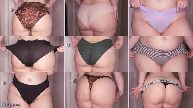 Nine New Pairs of Panties video from Catpaws