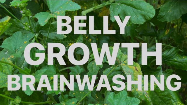Belly Growth Brainwashing video from Enchantress