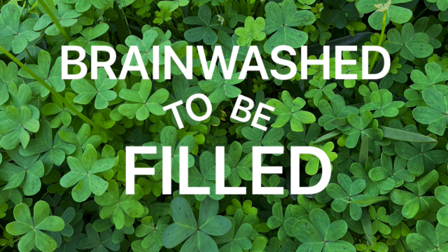 Brainwashed to be Filled video from Enchantress