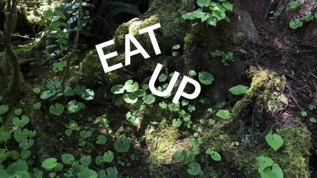 Eat Up // Personal Trainer video from Enchantress