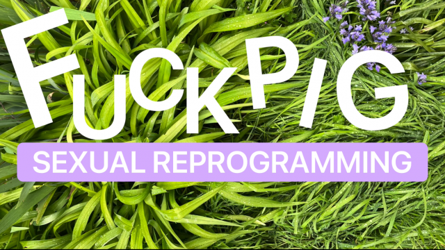 Fuckpig Sexual Reprogramming video from Enchantress