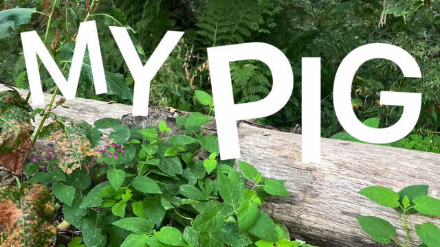 My Pig // Gentle Hypnosis Domination video from Enchantress