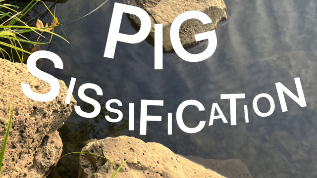 Pig Sissification video from Enchantress