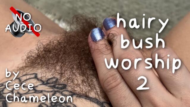hairy bush worship 2 video