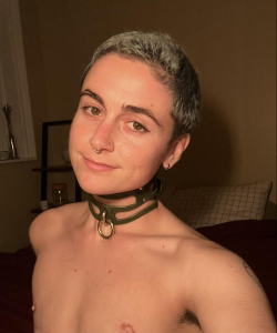 Clover at APClips.com