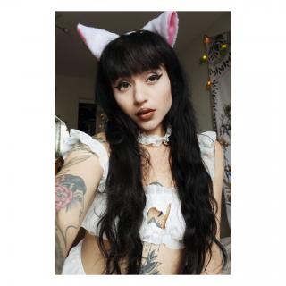 little kitty photo gallery by CYBER