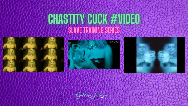 SLAVE TRAINING CHASTITY CUCK #VIDEO video from Goddess Alimony