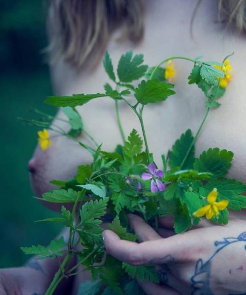 Dollemotion contest photo