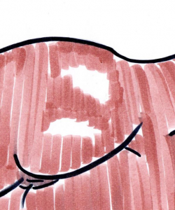 DrawingForPleasure at APClips.com