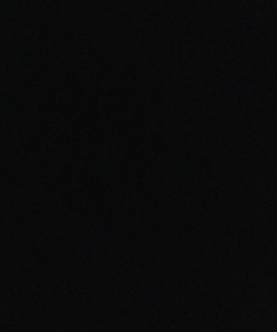 Dreamiebella at APClips.com