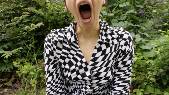 Yawning in Nature video from Easy Andy