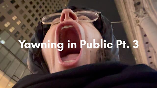 Yawning in Public Pt. 3 video from Easy Andy