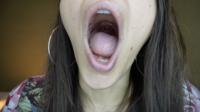 Yawning Up-close video from Easy Andy