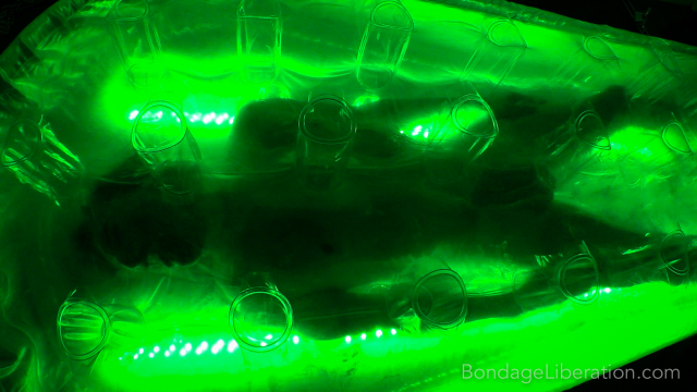 Inflatable Self-Love - Kino Payne video from Elise Graves