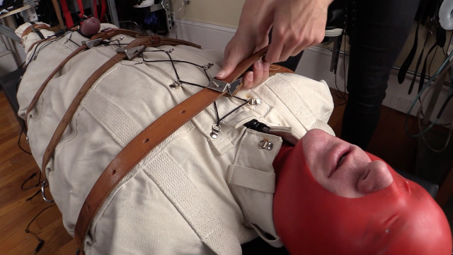 Someone's Excited - Patrick & Elise Graves video from Elise Graves