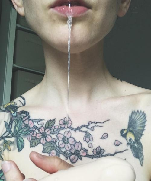 Finch Linden contest photo