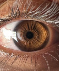 Giantess Cirilla at APClips.com