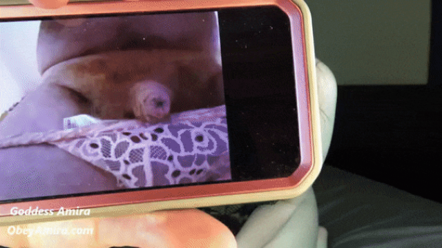 Andrews Sissy Dick Rating - Custom video from Goddess Amira