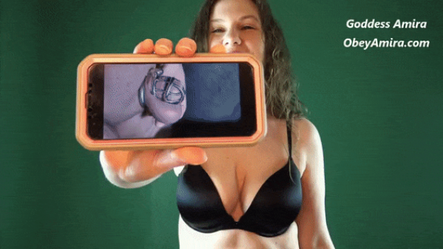 Chastity Slave gets a Dick Rating - Custom video from Goddess Amira