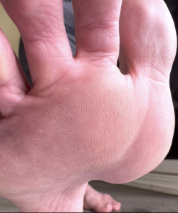 Brianna Kelly at APClips.com