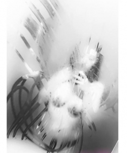 Goody at APClips.com