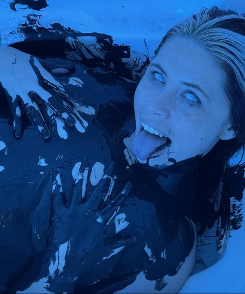 House Of Hedge contest photo