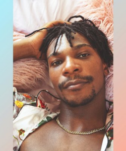 Rooster at APClips.com