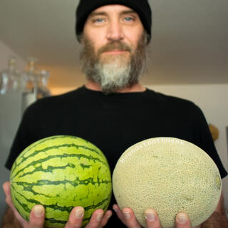 HoundstoothHank photo