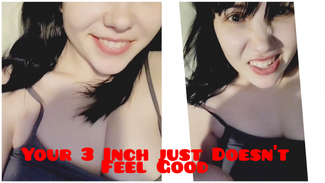 Your 3 Inch just Doesn't Feel Good video from Invadernoodles