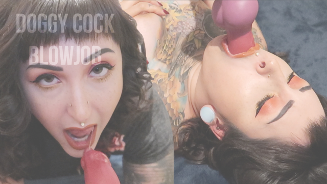Doggy Cock Blowjob video from Jude Ryan